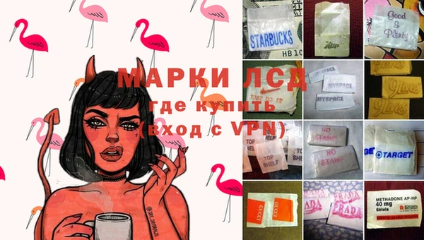 гашик Гусев
