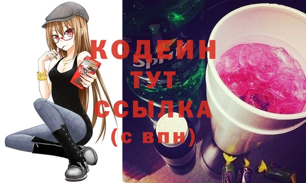 гашик Гусев