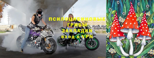 гашик Гусев
